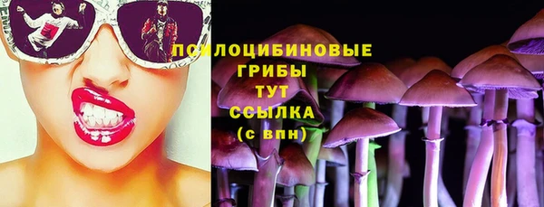 ГАЛЛЮЦИНОГЕННЫЕ ГРИБЫ Медвежьегорск