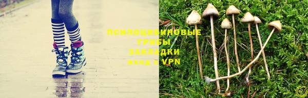 альфа пвп Медногорск