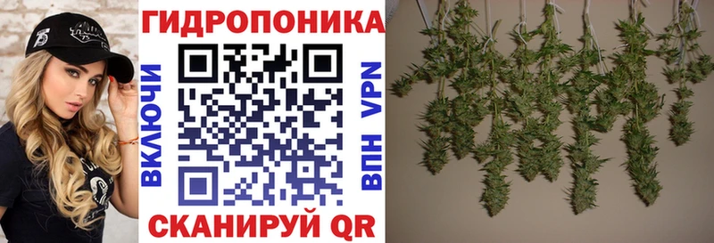 Конопля сатива  продажа наркотиков  darknet состав  Юрюзань 